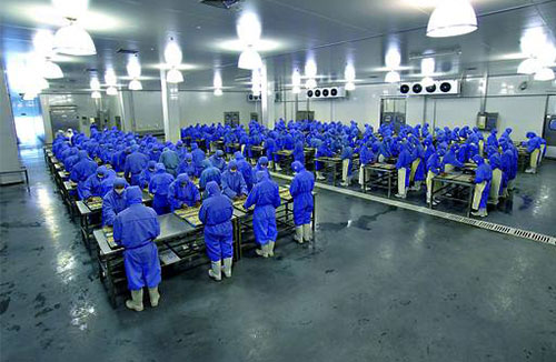 食品行業(yè)十萬級凈化車間潔凈室(區(qū))-永達(dá)食品