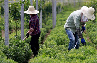 7月30日，河南省中藥材生產(chǎn)工作暨產(chǎn)業(yè)扶貧現(xiàn)場(chǎng)會(huì)在南陽(yáng)市南召縣成功召開(kāi)